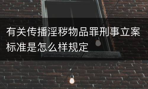 有关传播淫秽物品罪刑事立案标准是怎么样规定