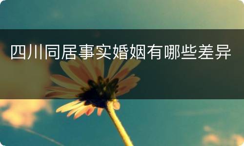 四川同居事实婚姻有哪些差异