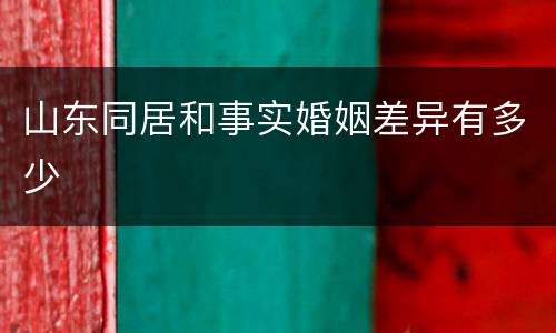 山东同居和事实婚姻差异有多少