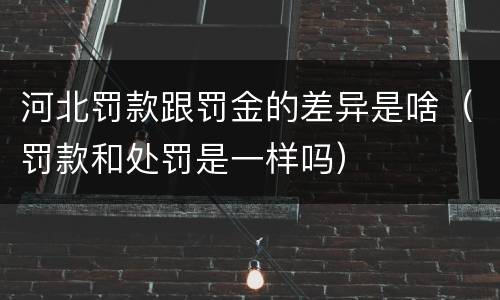 河北罚款跟罚金的差异是啥（罚款和处罚是一样吗）