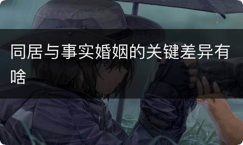 同居与事实婚姻的关键差异有啥