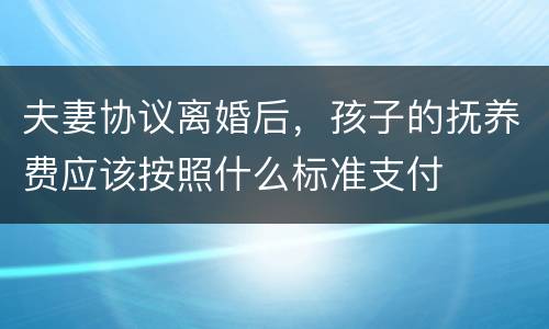 夫妻协议离婚后，孩子的抚养费应该按照什么标准支付