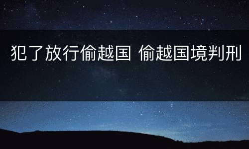 犯了放行偷越国 偷越国境判刑
