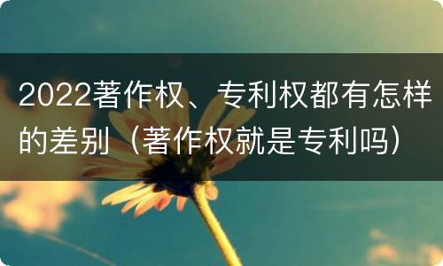 2022著作权、专利权都有怎样的差别（著作权就是专利吗）
