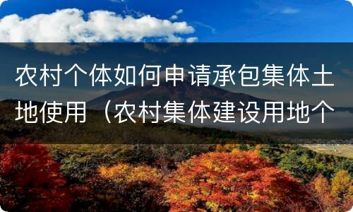 农村个体如何申请承包集体土地使用（农村集体建设用地个人承包）