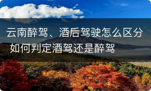 云南醉驾、酒后驾驶怎么区分 如何判定酒驾还是醉驾