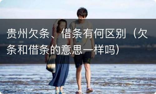 贵州欠条、借条有何区别（欠条和借条的意思一样吗）