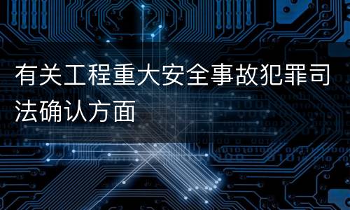 有关工程重大安全事故犯罪司法确认方面