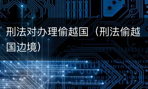 刑法对办理偷越国（刑法偷越国边境）