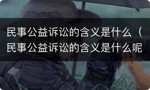 民事公益诉讼的含义是什么（民事公益诉讼的含义是什么呢）