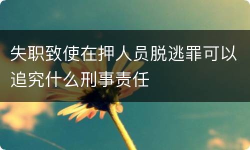 失职致使在押人员脱逃罪可以追究什么刑事责任