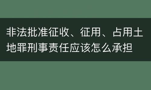 非法批准征收、征用、占用土地罪刑事责任应该怎么承担