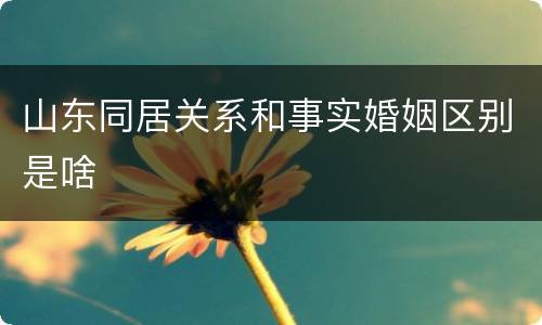 山东同居关系和事实婚姻区别是啥