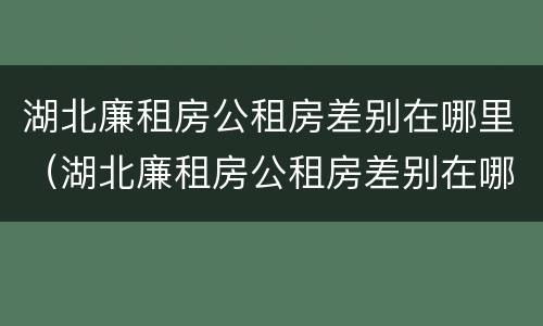 湖北廉租房公租房差别在哪里（湖北廉租房公租房差别在哪里查）