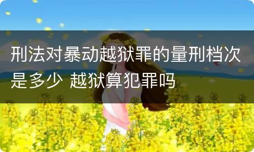 刑法对暴动越狱罪的量刑档次是多少 越狱算犯罪吗