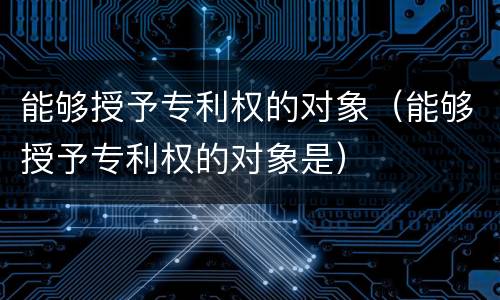 能够授予专利权的对象（能够授予专利权的对象是）