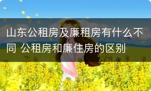 山东公租房及廉租房有什么不同 公租房和廉住房的区别