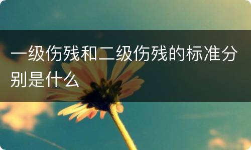 一级伤残和二级伤残的标准分别是什么