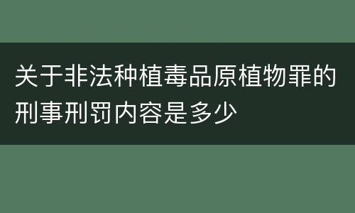关于非法种植毒品原植物罪的刑事刑罚内容是多少