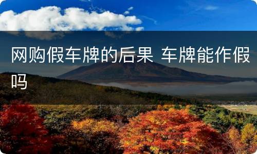 网购假车牌的后果 车牌能作假吗