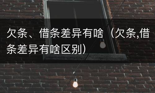 欠条、借条差异有啥(欠条,借条差异有啥区别)