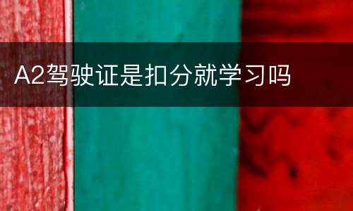 A2驾驶证是扣分就学习吗
