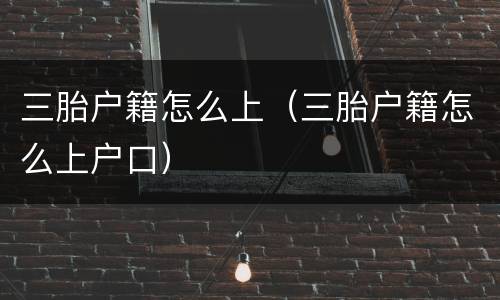 三胎户籍怎么上（三胎户籍怎么上户口）