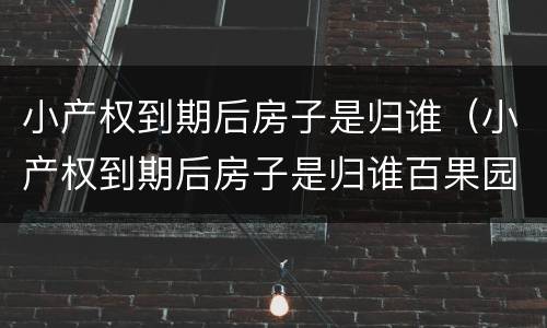 小产权到期后房子是归谁（小产权到期后房子是归谁百果园）