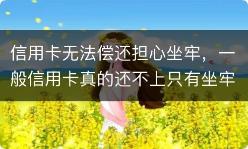 信用卡无法偿还担心坐牢，一般信用卡真的还不上只有坐牢吗