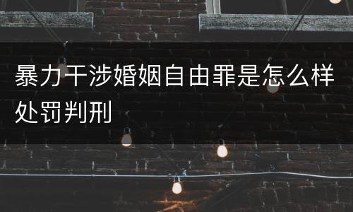 暴力干涉婚姻自由罪是怎么样处罚判刑