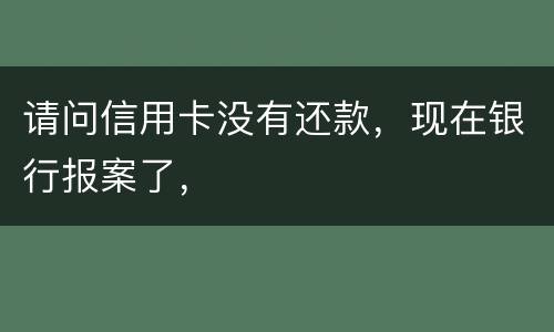 请问信用卡没有还款，现在银行报案了，