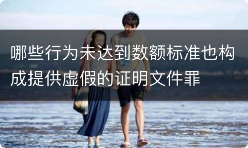 哪些行为未达到数额标准也构成提供虚假的证明文件罪