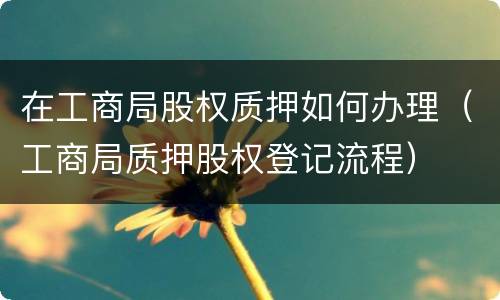 在工商局股权质押如何办理（工商局质押股权登记流程）