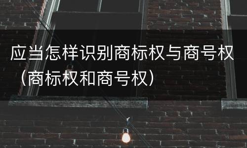 应当怎样识别商标权与商号权（商标权和商号权）