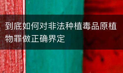 到底如何对非法种植毒品原植物罪做正确界定