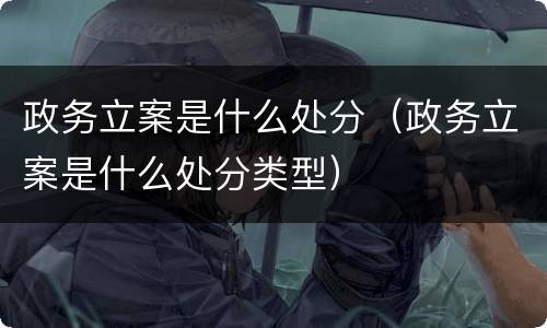 政务立案是什么处分（政务立案是什么处分类型）