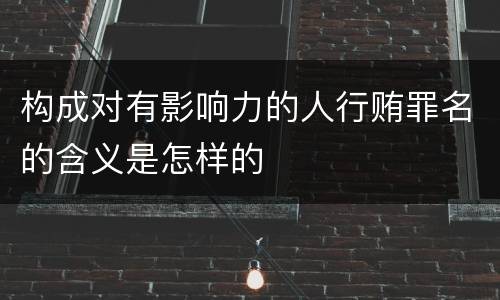 构成对有影响力的人行贿罪名的含义是怎样的