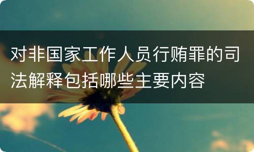 对非国家工作人员行贿罪的司法解释包括哪些主要内容