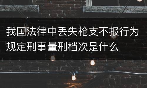 我国法律中丢失枪支不报行为规定刑事量刑档次是什么