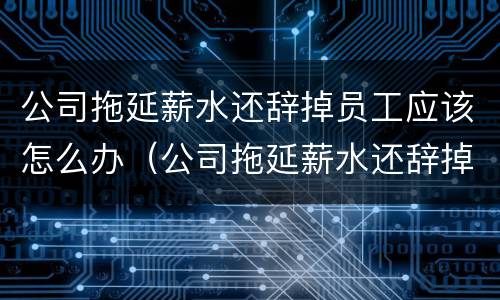 公司拖延薪水还辞掉员工应该怎么办（公司拖延薪水还辞掉员工应该怎么办理）