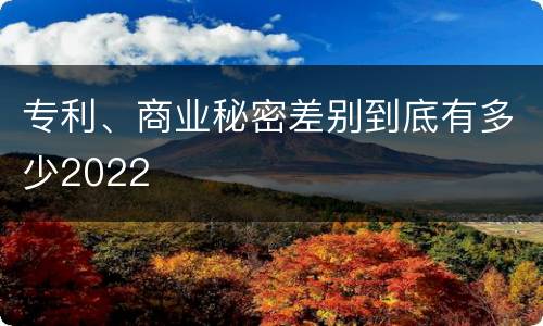 专利、商业秘密差别到底有多少2022