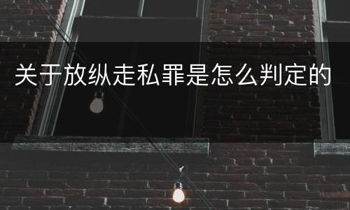 关于放纵走私罪是怎么判定的