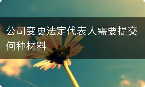 公司变更法定代表人需要提交何种材料