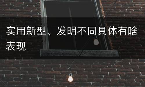 实用新型、发明不同具体有啥表现