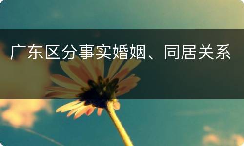广东区分事实婚姻、同居关系