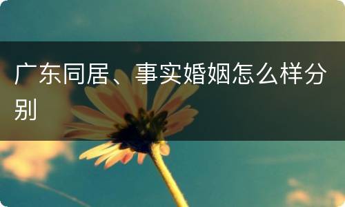 广东同居、事实婚姻怎么样分别