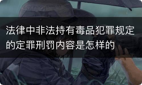 法律中非法持有毒品犯罪规定的定罪刑罚内容是怎样的
