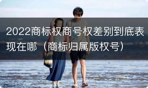 2022商标权商号权差别到底表现在哪（商标归属版权号）