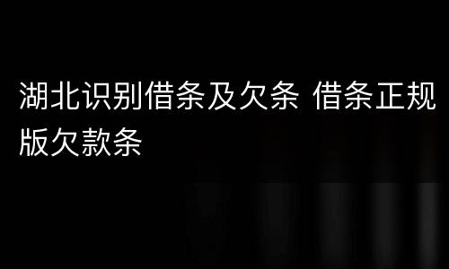 湖北识别借条及欠条 借条正规版欠款条