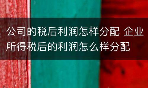 公司的税后利润怎样分配 企业所得税后的利润怎么样分配